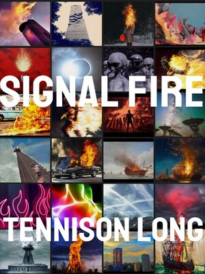 cover image of Signal Fire